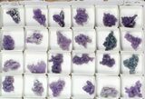 Lot: Grape Agate From Indonesia - Pieces #105224-2